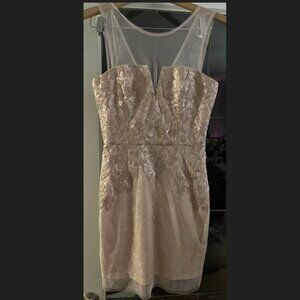 Pink BCBG Maxazria Sequin Beaded Dress